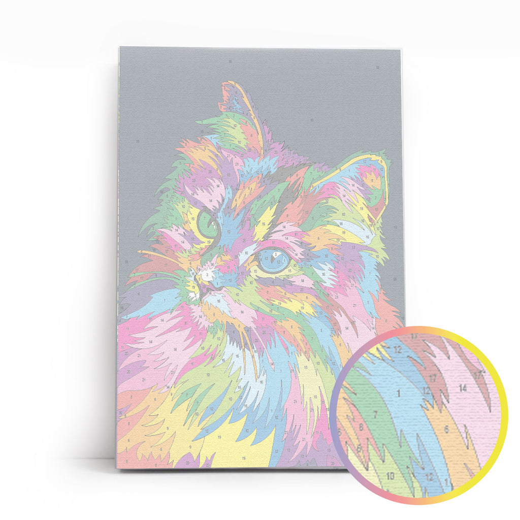 Through the eyes of a cat