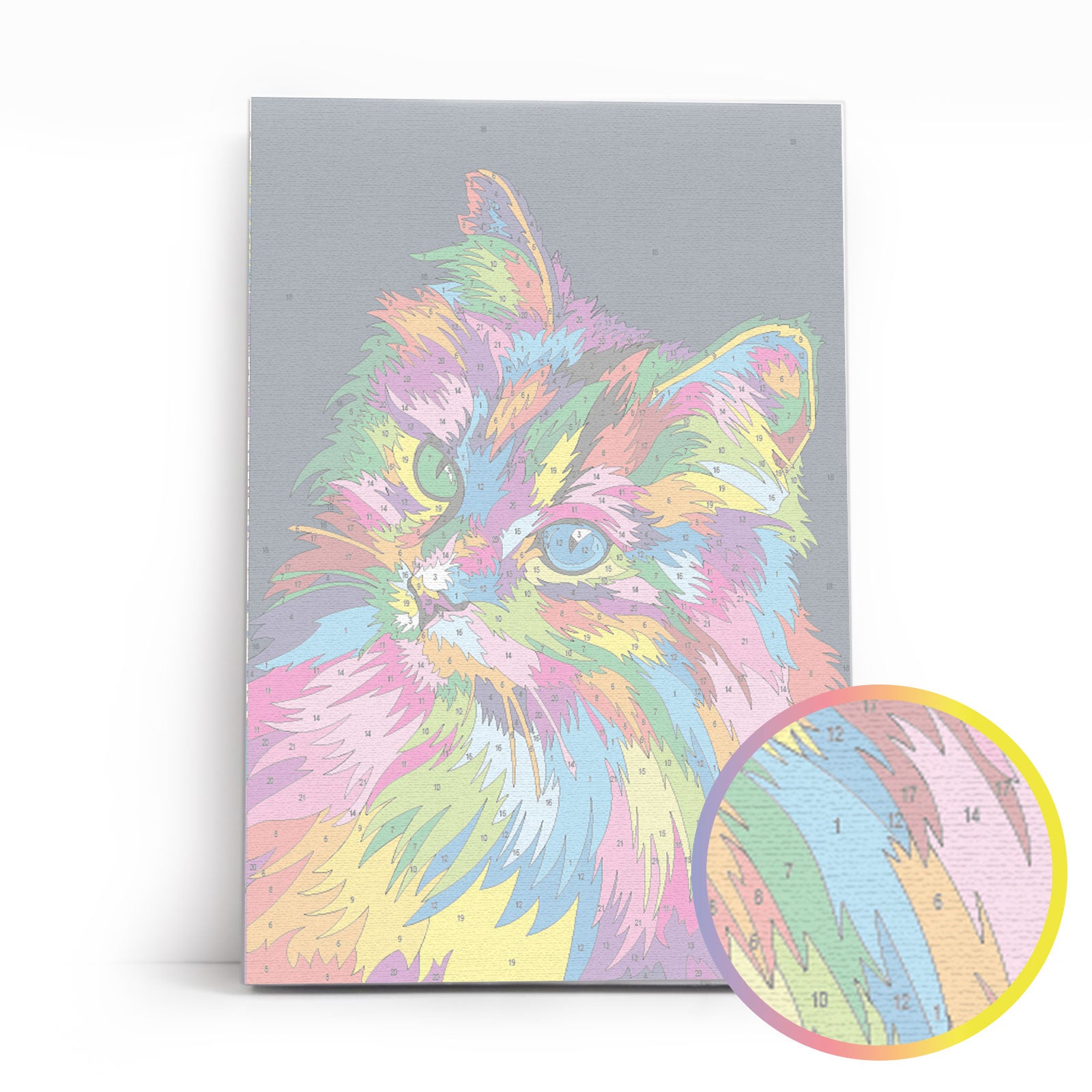 Through the eyes of a cat