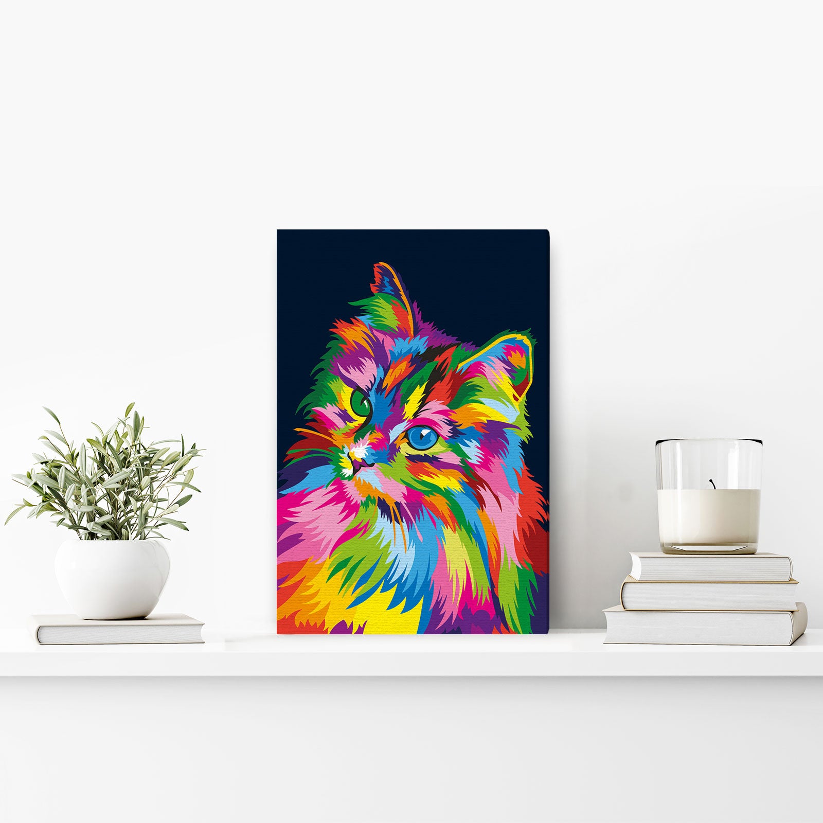 Through the eyes of a cat