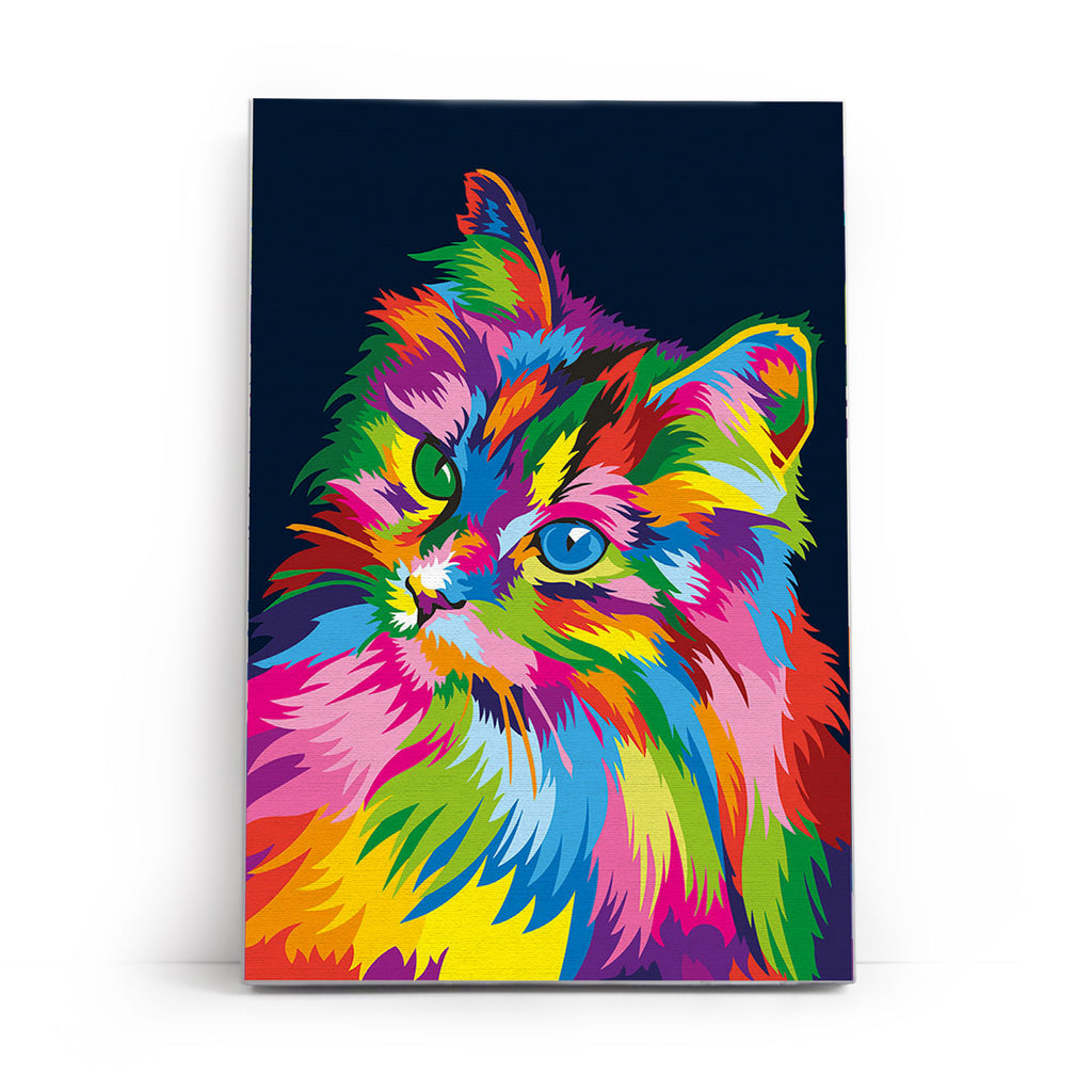 Through the eyes of a cat