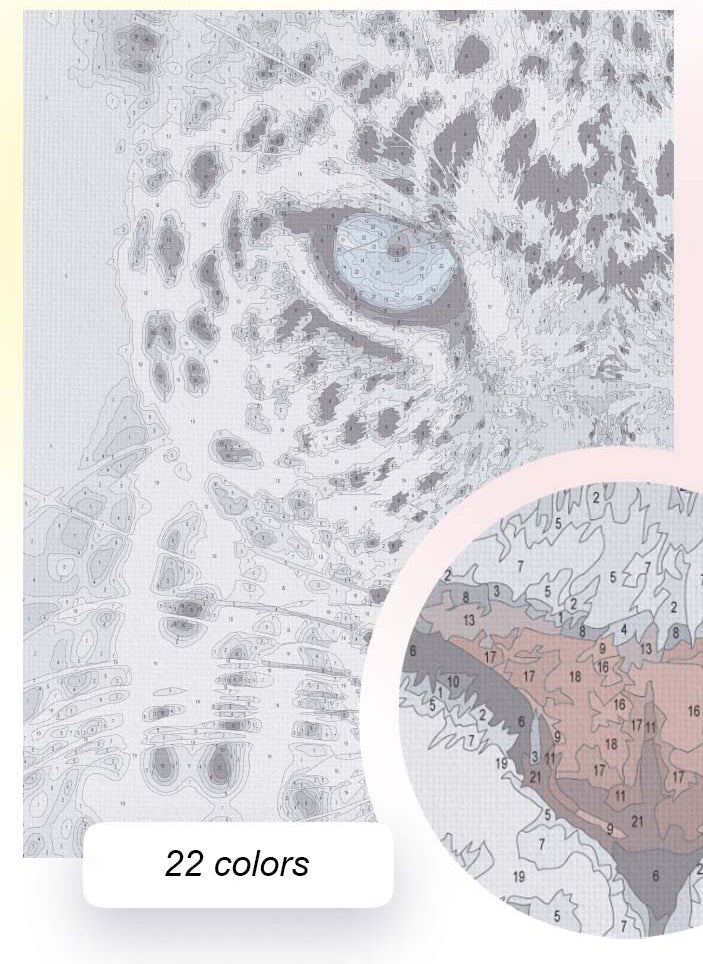 Leopard stare